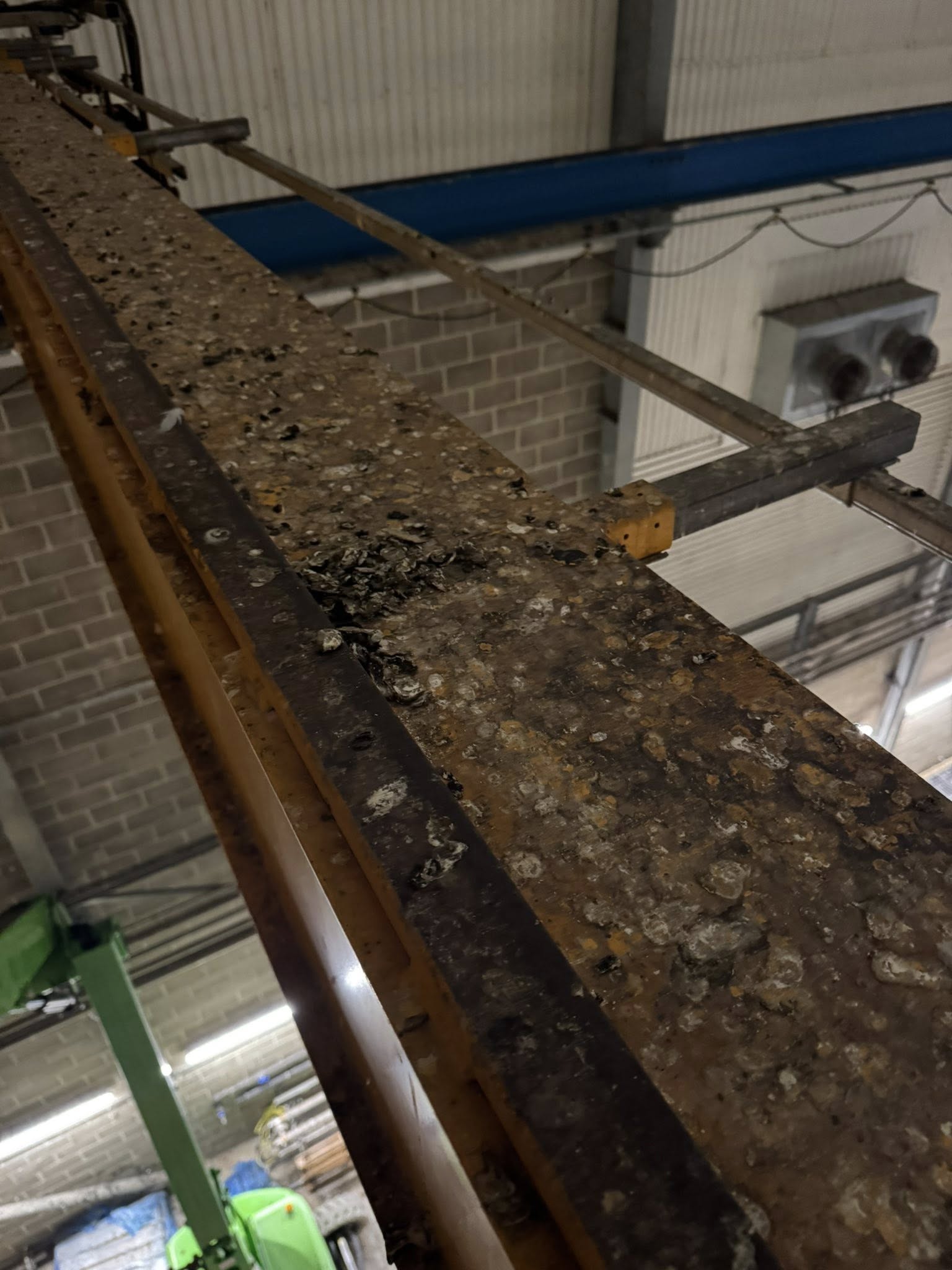 Bird Droppings on a railing