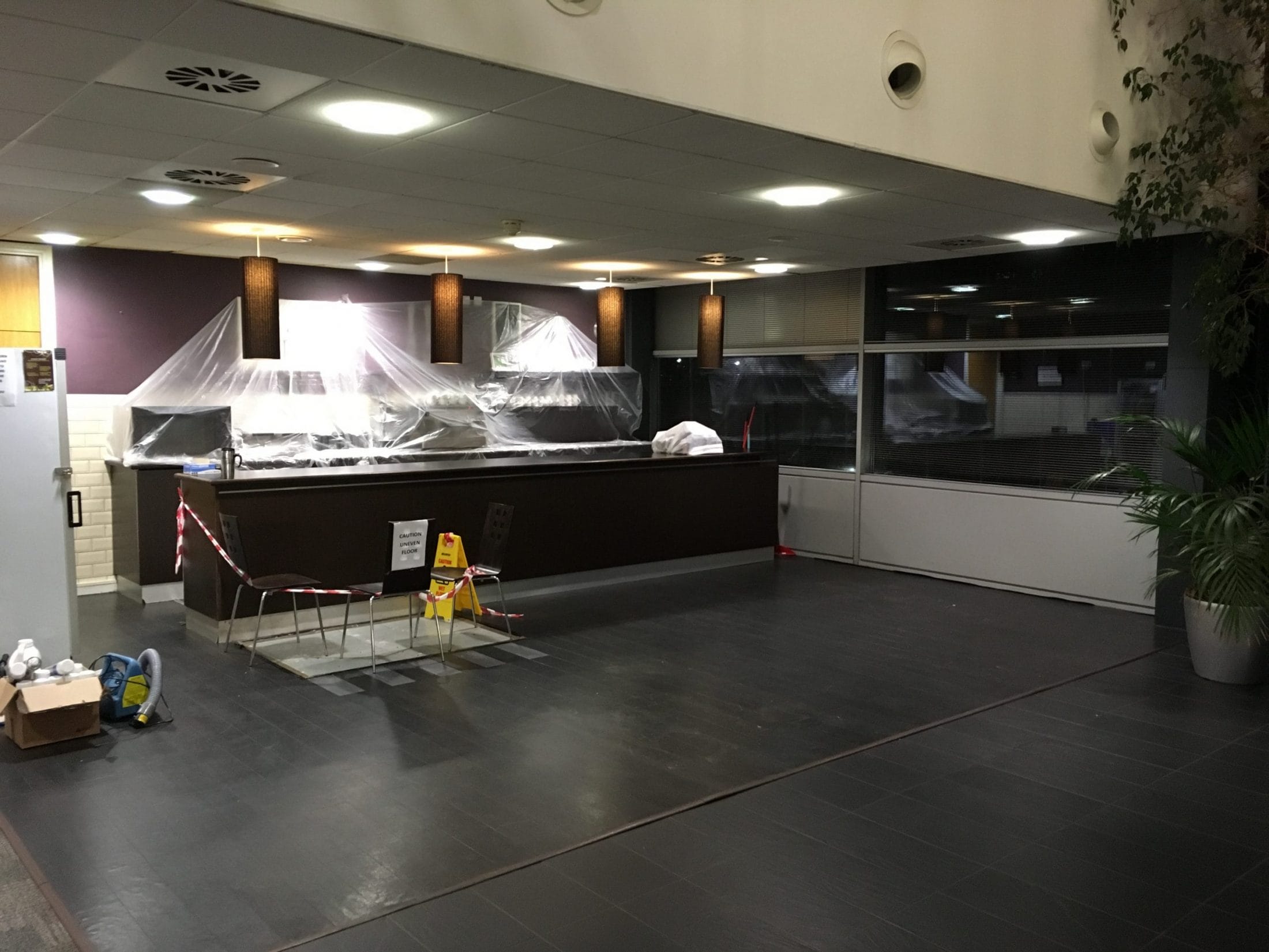 Pest Control Services | Drain fly treatment