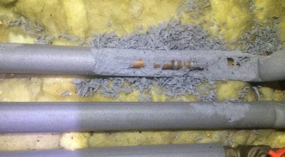 gnawed piping | Pest Control Kent