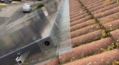 bird proofing on roof | Pest Infestation Kent