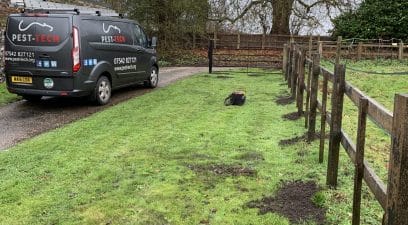 A garden mole removal treatment in progress | Pest Control Maidstone
