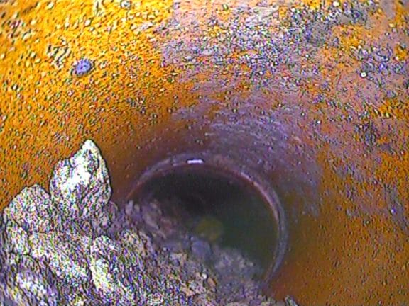 Drain Survey for rat entry points to a building