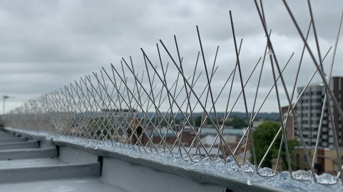 bird spikes used along the roofline of a building in maidstone, kent