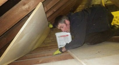 Pest-Tech technician laying out mice control equipment in a loft in Maidstone