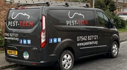 Local pest control service provider