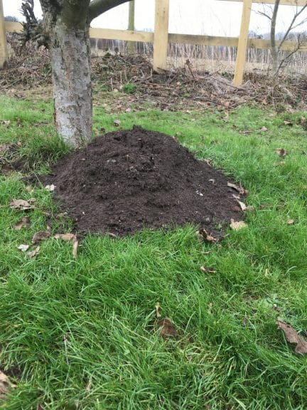 A large mole hill | Pest Control Maidstone
