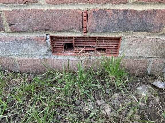 Air vent gnawed through by rodents to gain entry to a property