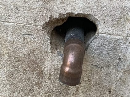 rodent entry point from large pipe 