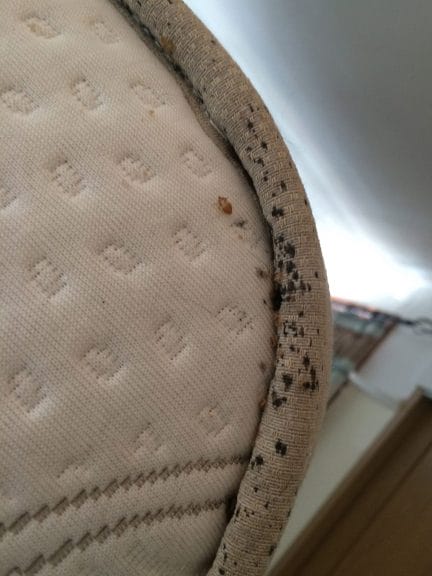 Signs of a bed bug infestation are black Spotting on a mattress. 