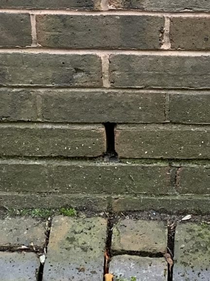 A breathing hole in the brickwork of a new building creates access for rodents