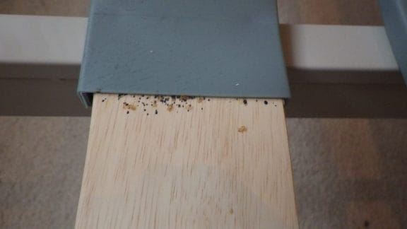 Signs of a bed bug infestation on a bed frame