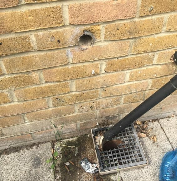 disused pipe not covered or filled in results in a rodent entry point to this property