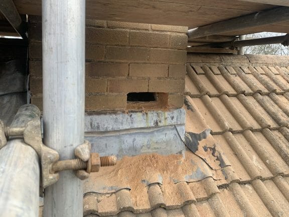 removing a bees nest from a chimney in maidstone