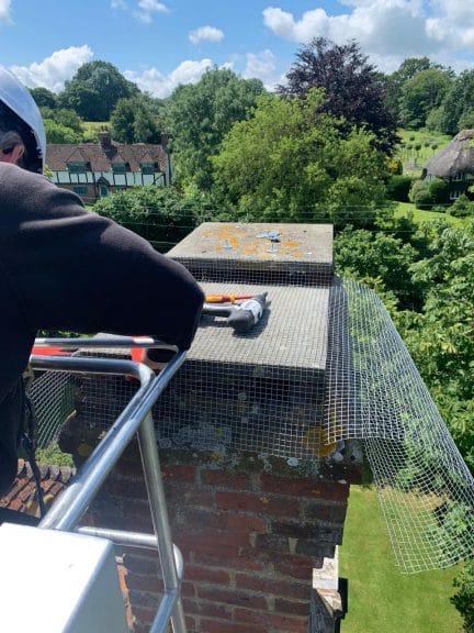 Bird control to stop birds nesting in the chimney