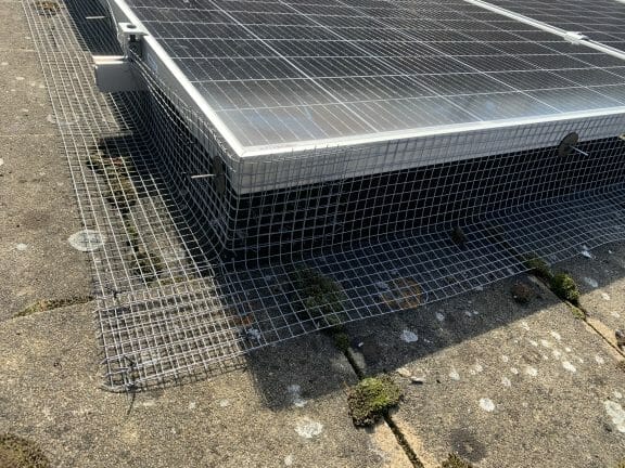 pigeon proofing solar panels