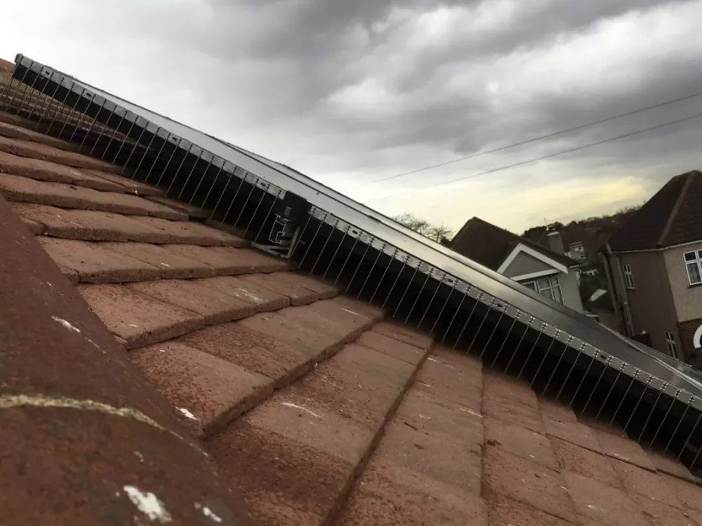 Solar Guards used to block access and Bird Proof Solar Panels in Kent.
