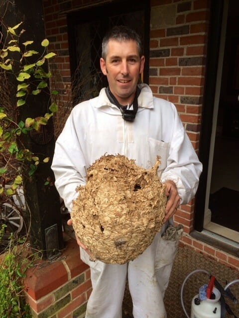pest tech technician holding a wasp nest
