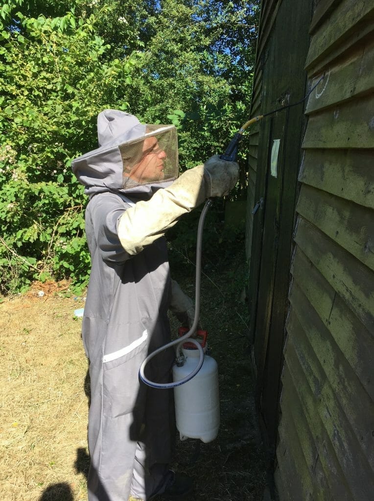 pest-tech technician wearing a protective suit while removing a wasp nest in sittingbourne