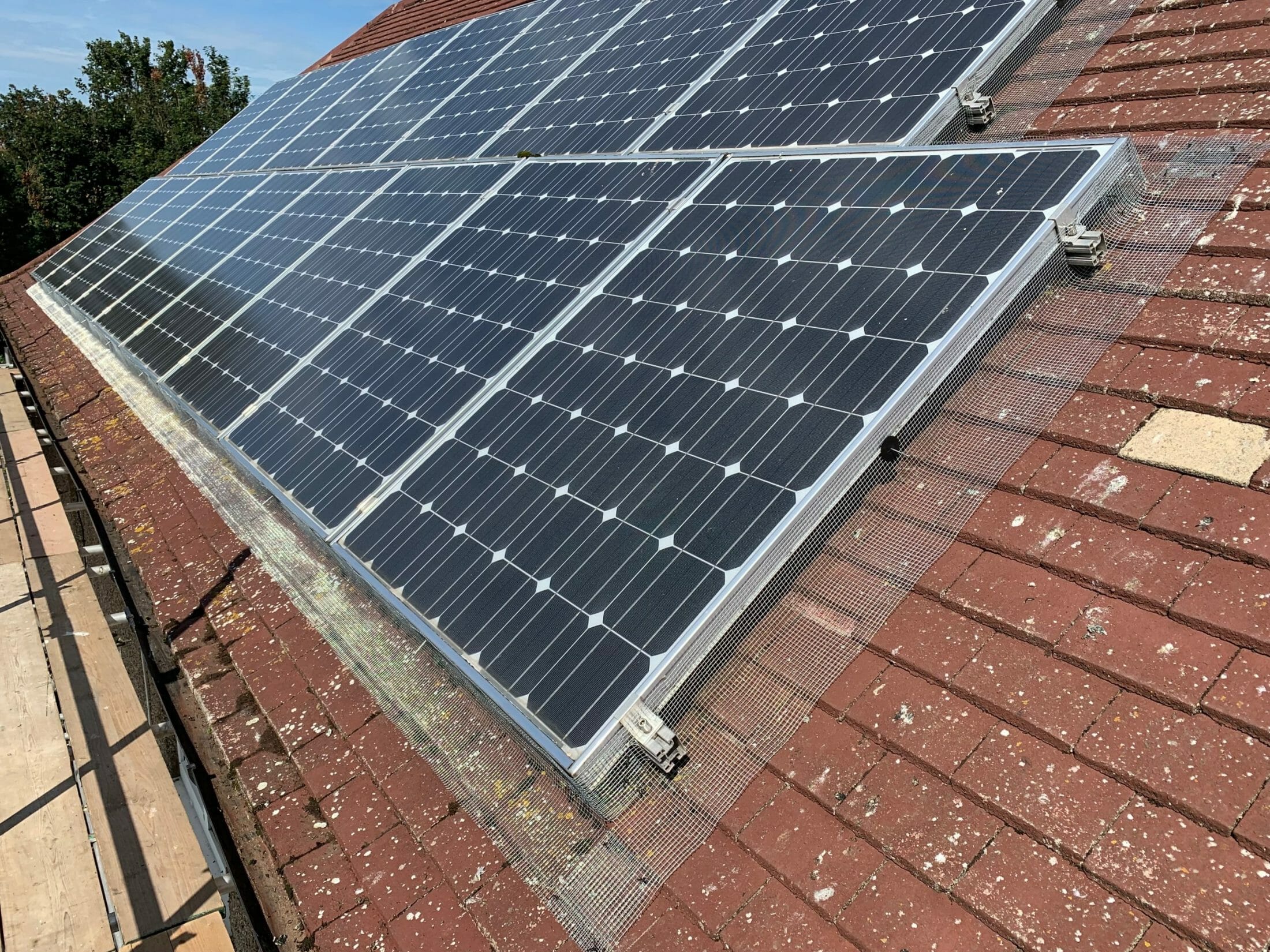 bird proofed solar panels on a home in tonbridge