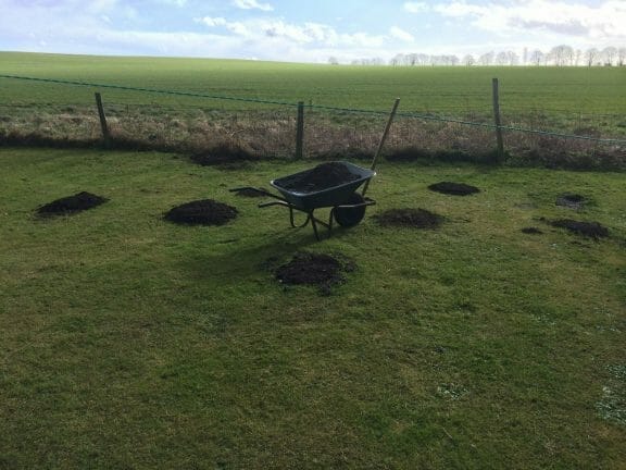 commercial mole control service carried out on a farm in maidstone