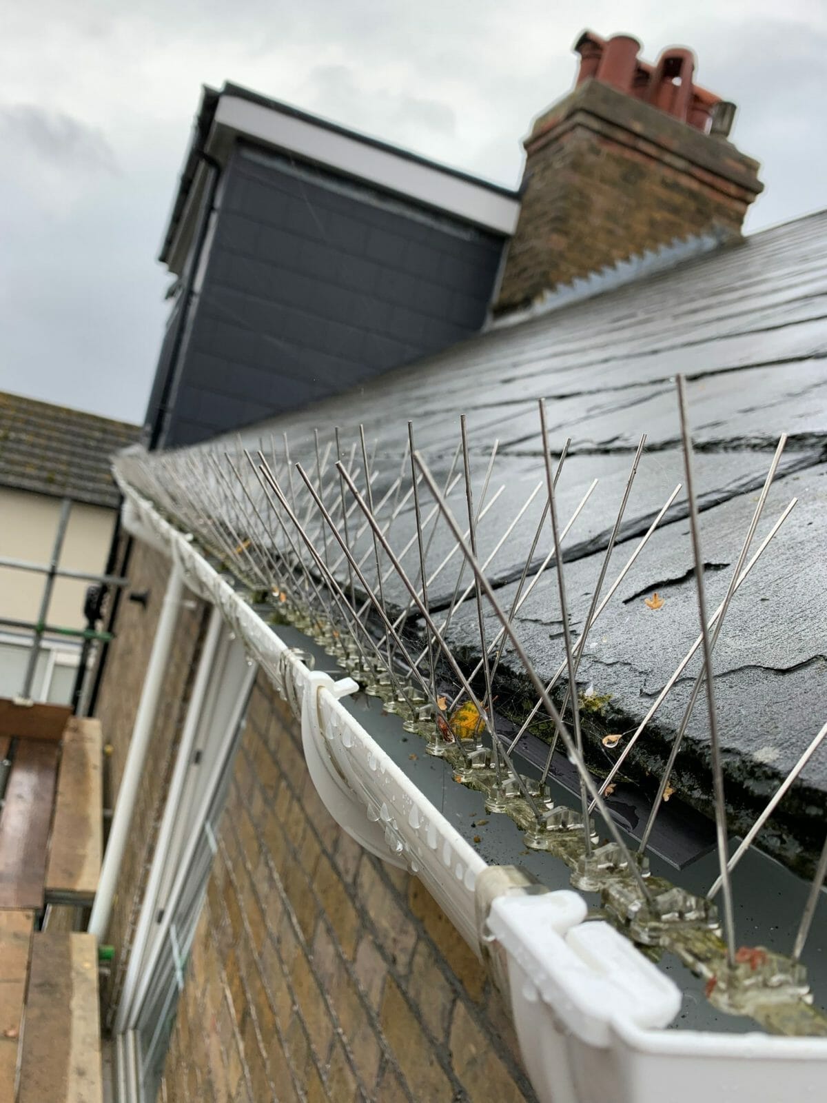 pigeon spikes applied to a gutter on a home in maidstone