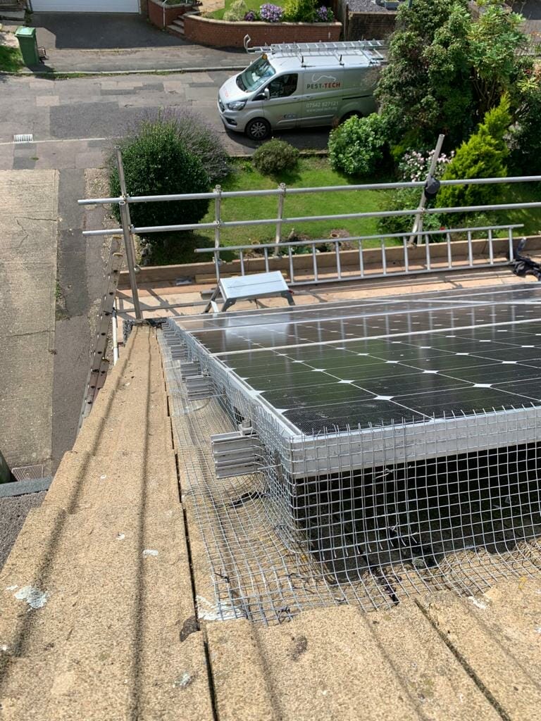 pigeon mesh applied to solar panels in maidstone