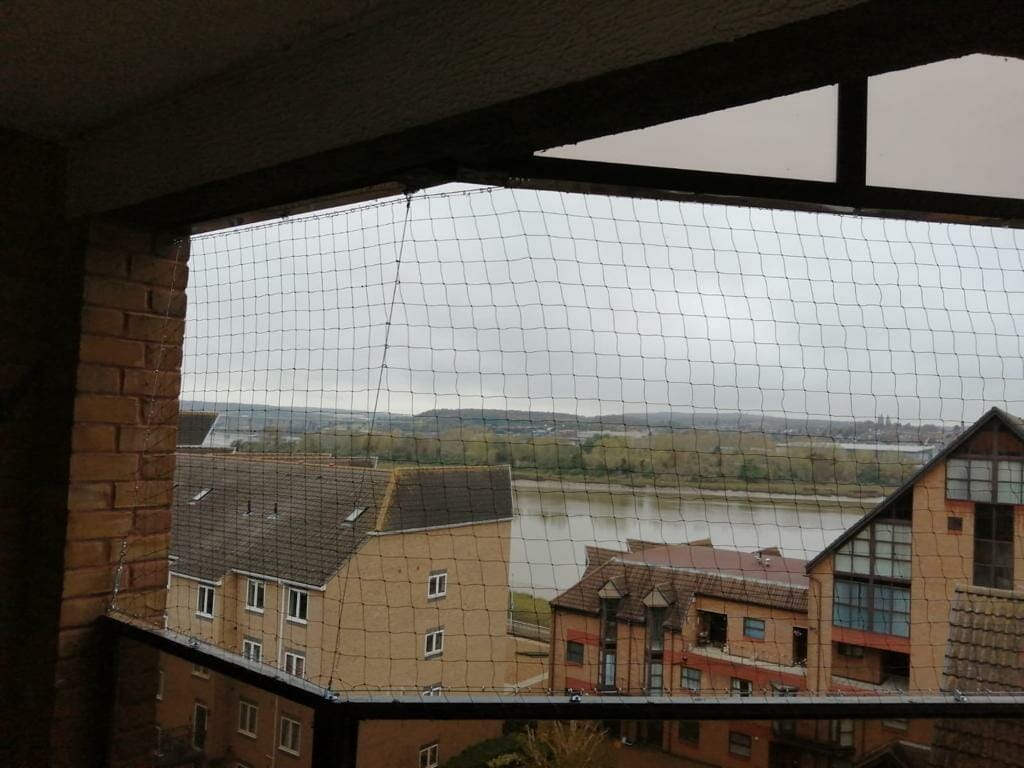 How To Get Rid Of Pigeons On Your Balcony • PestTech