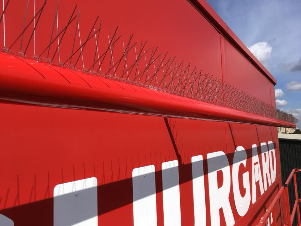 bird spikes installation in Maidstone by pest-tech