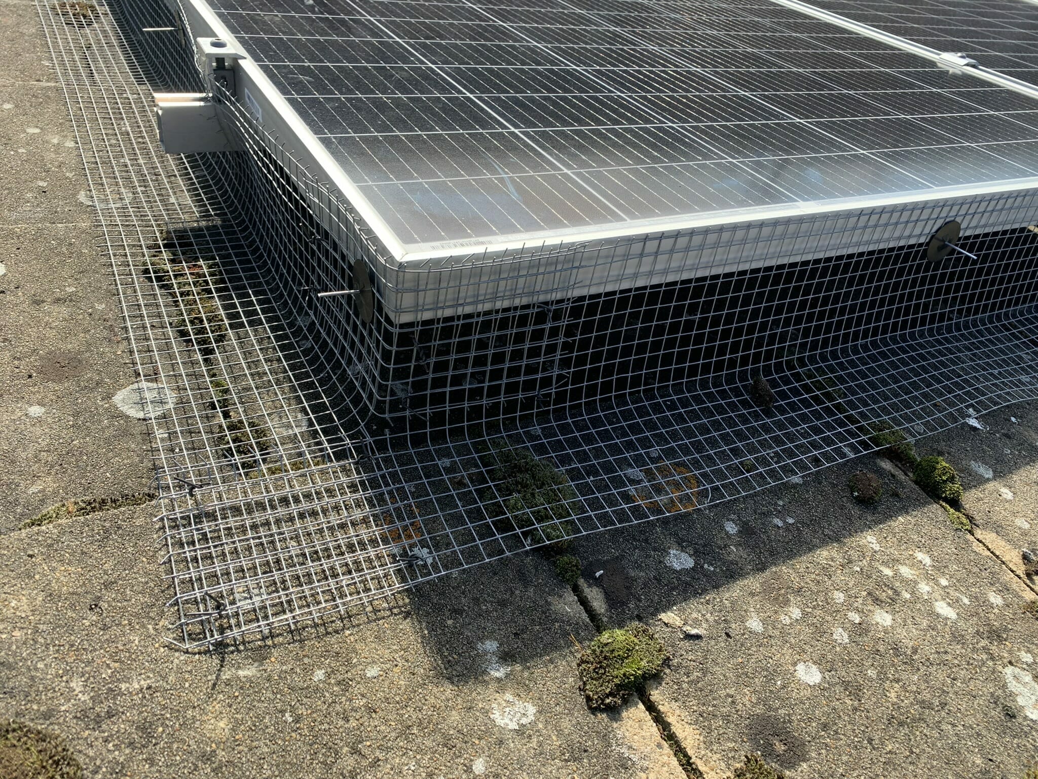 Seagull mesh installation for solar panel protection by Pest-Tech in Kent