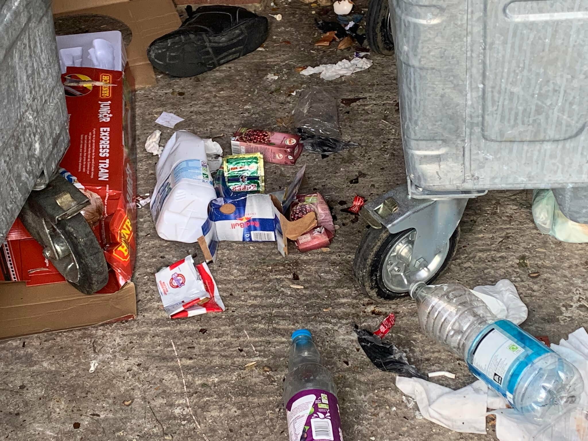 Fox Pest Control Bexley Rubbish