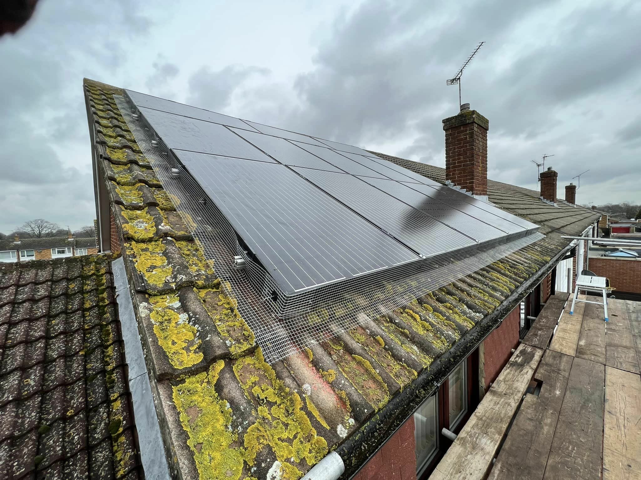 Pigeon Proofing Solar Panels in Staplehurst Kent