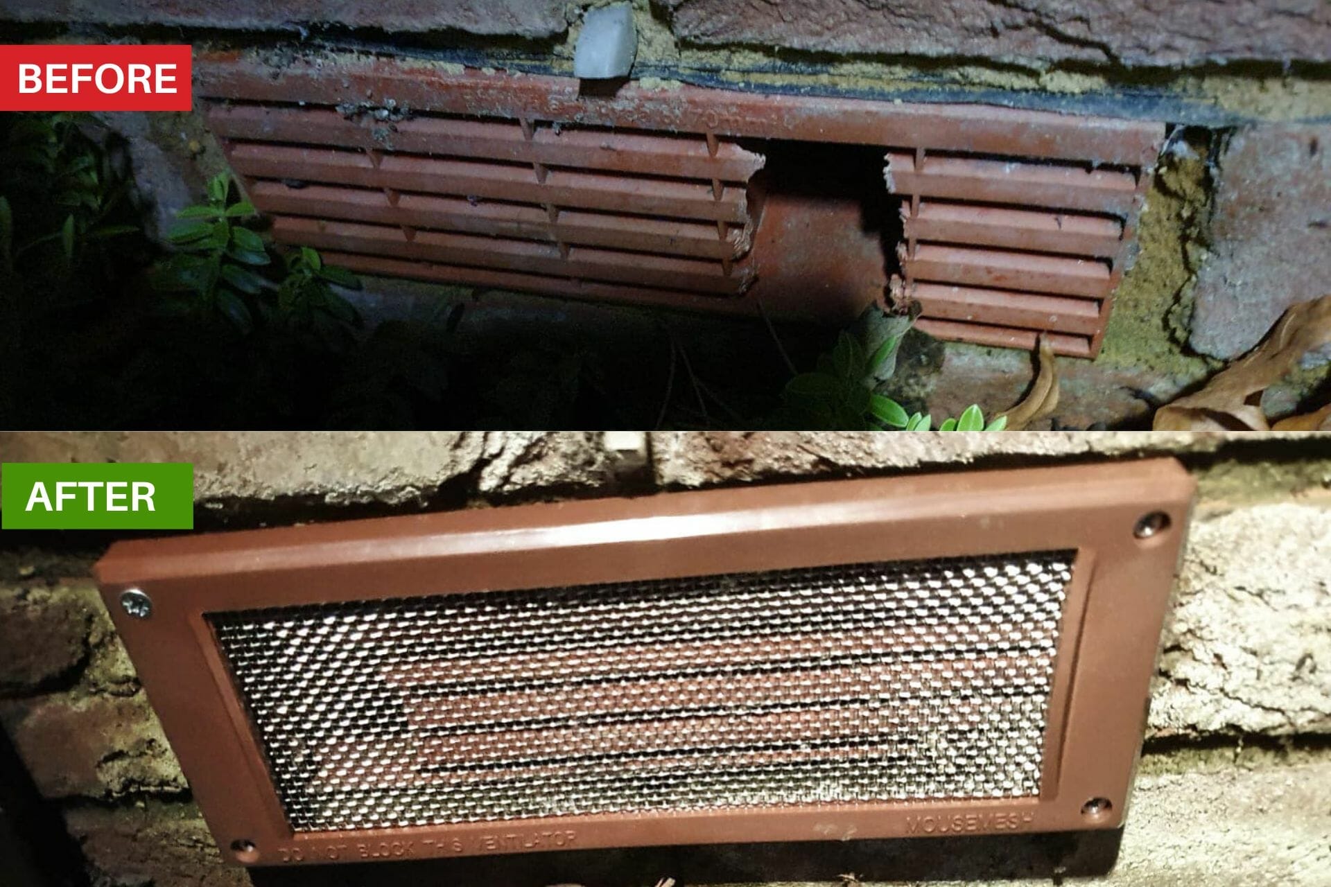 Rat Pest Control Ingress Points with Pest-Tech