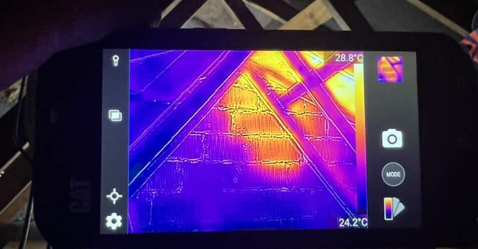 Wasp nest removal from loft in West Malling