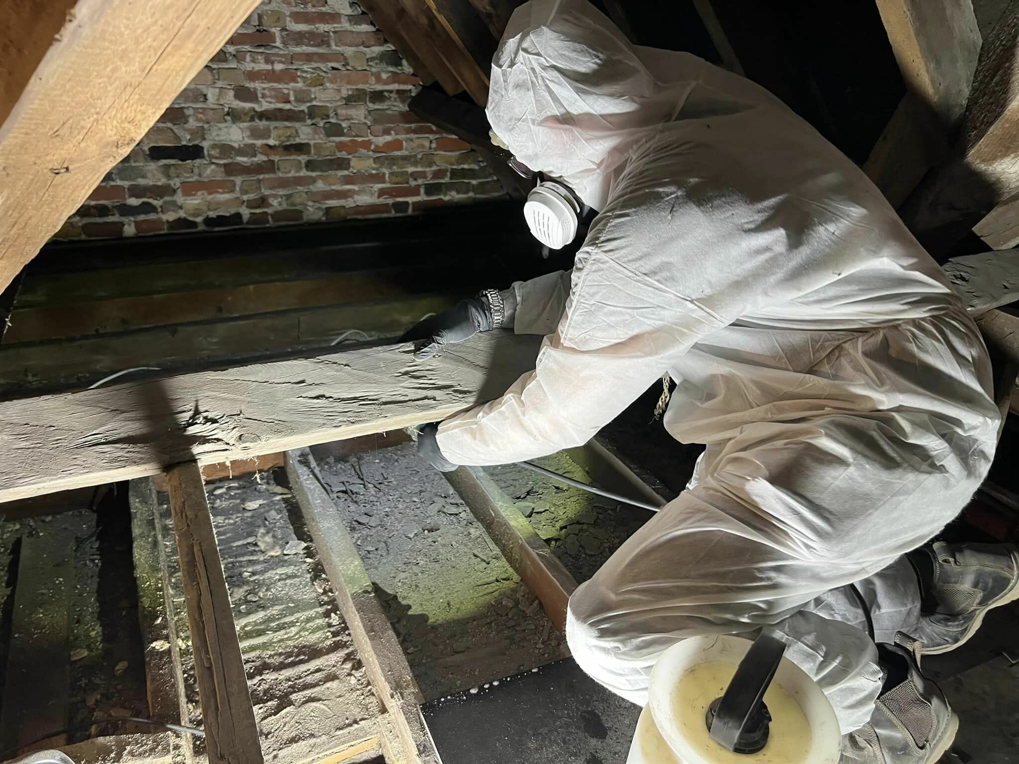 Furniture beetle removal from residential home using insecticide spray