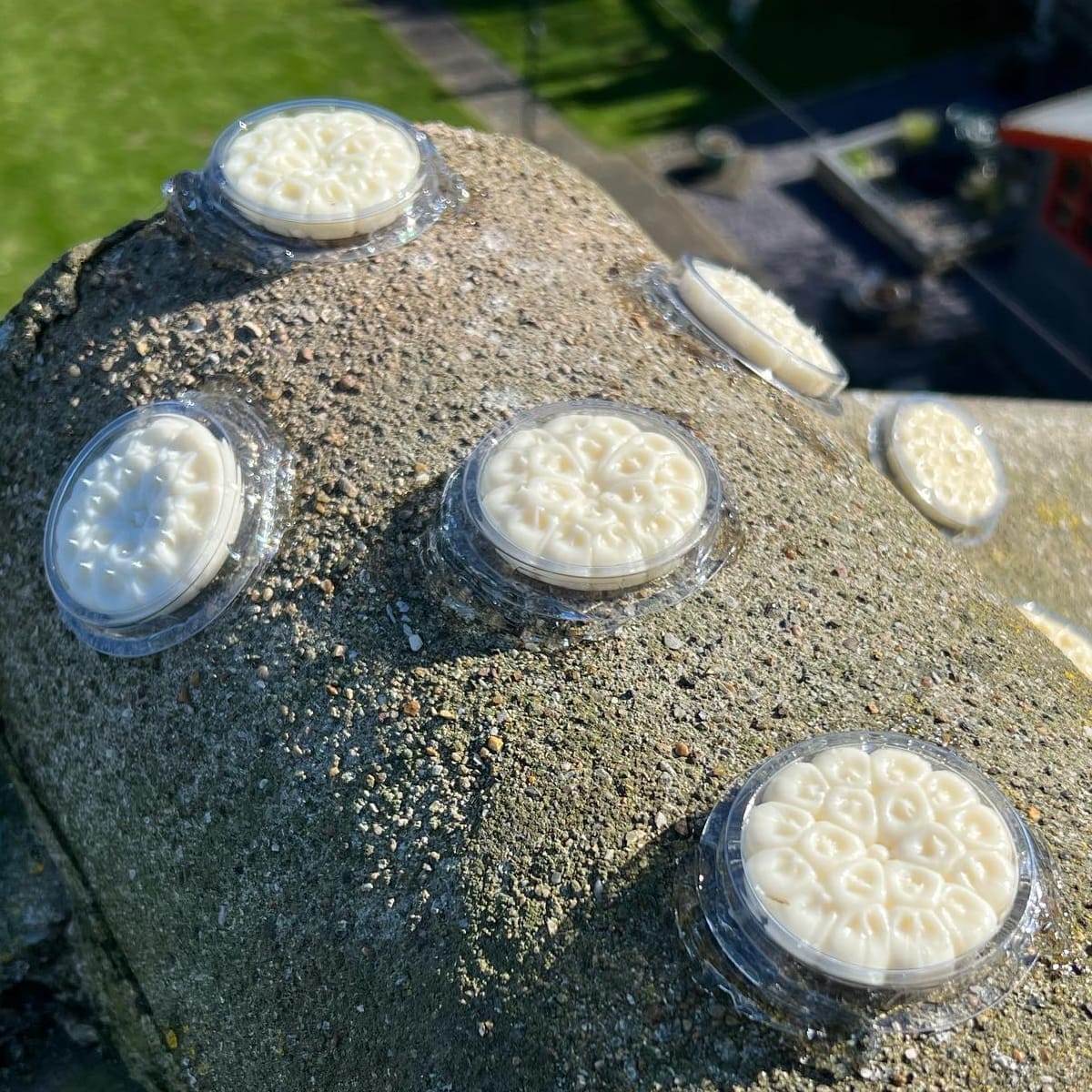 Bird free gel on a roof