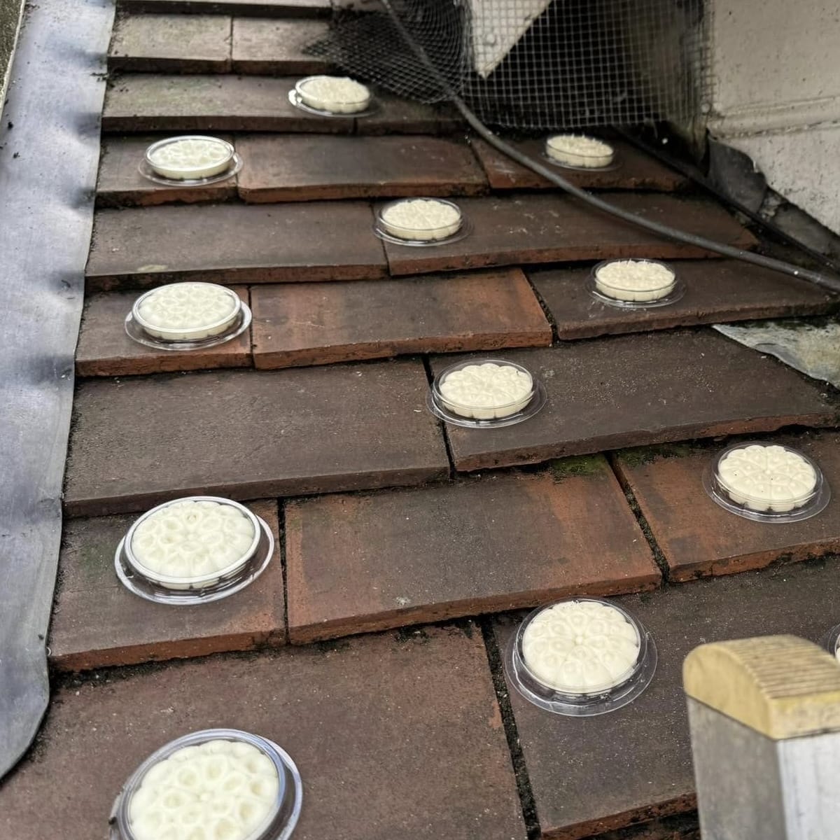 Bird free gel on a roof